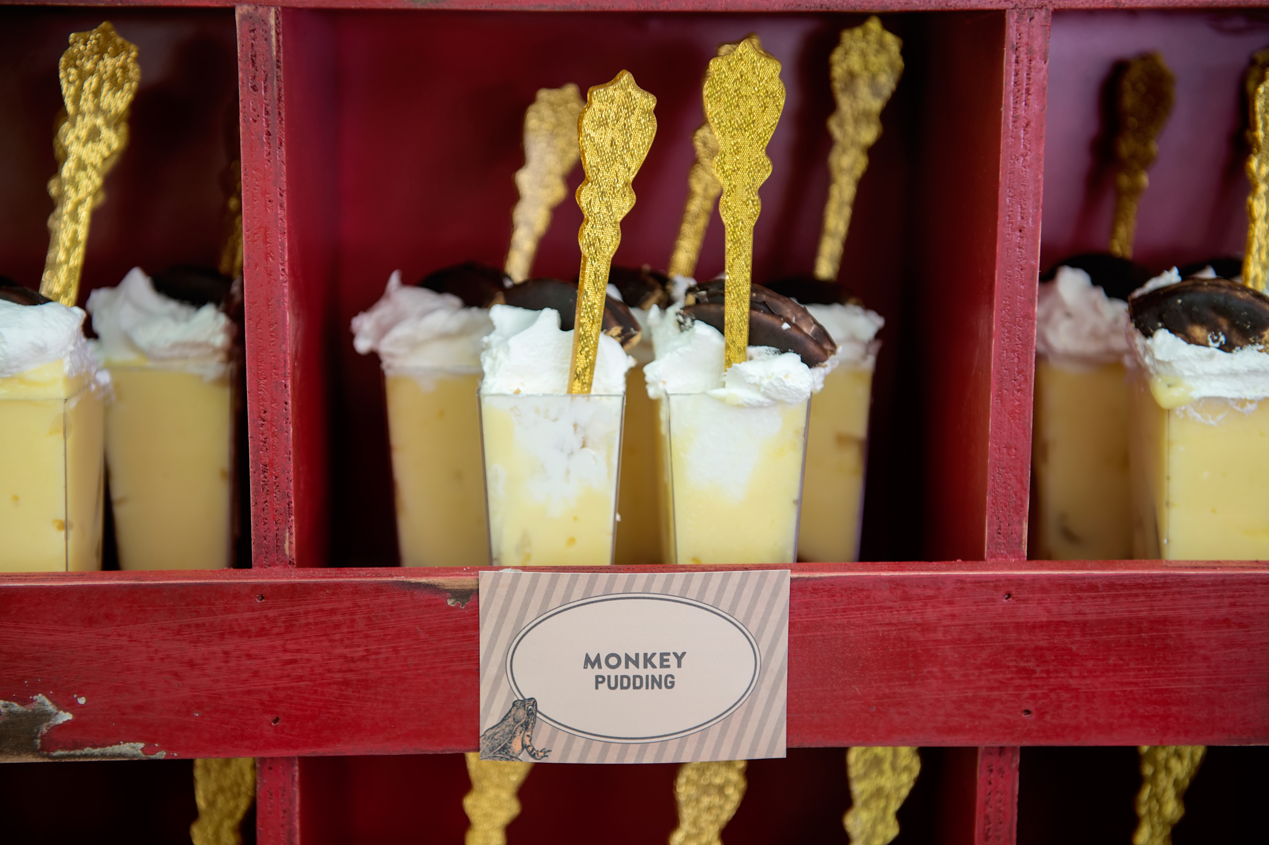 Treetop Quest Atlanta