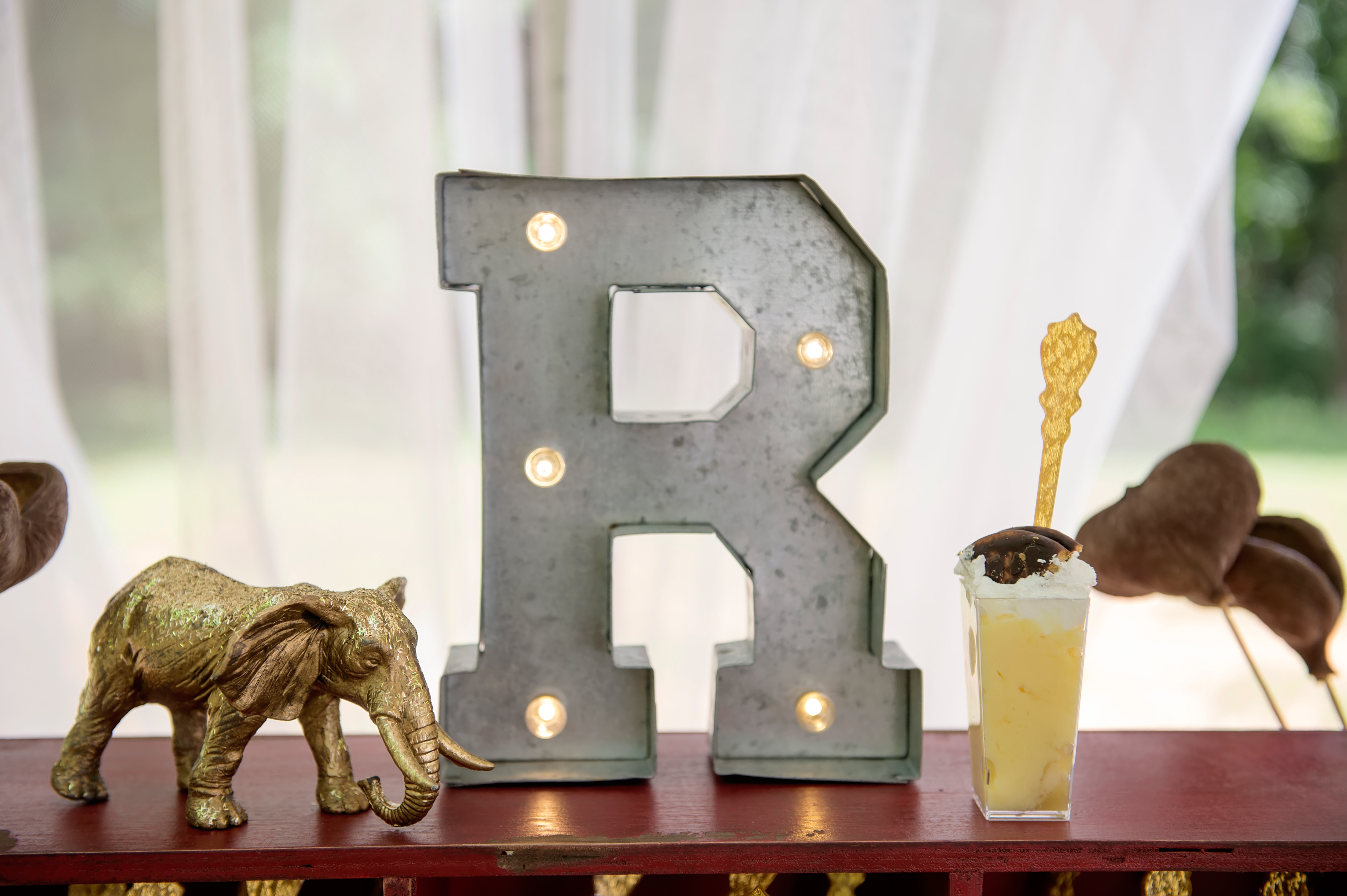 Jasmine Shah Event Planner