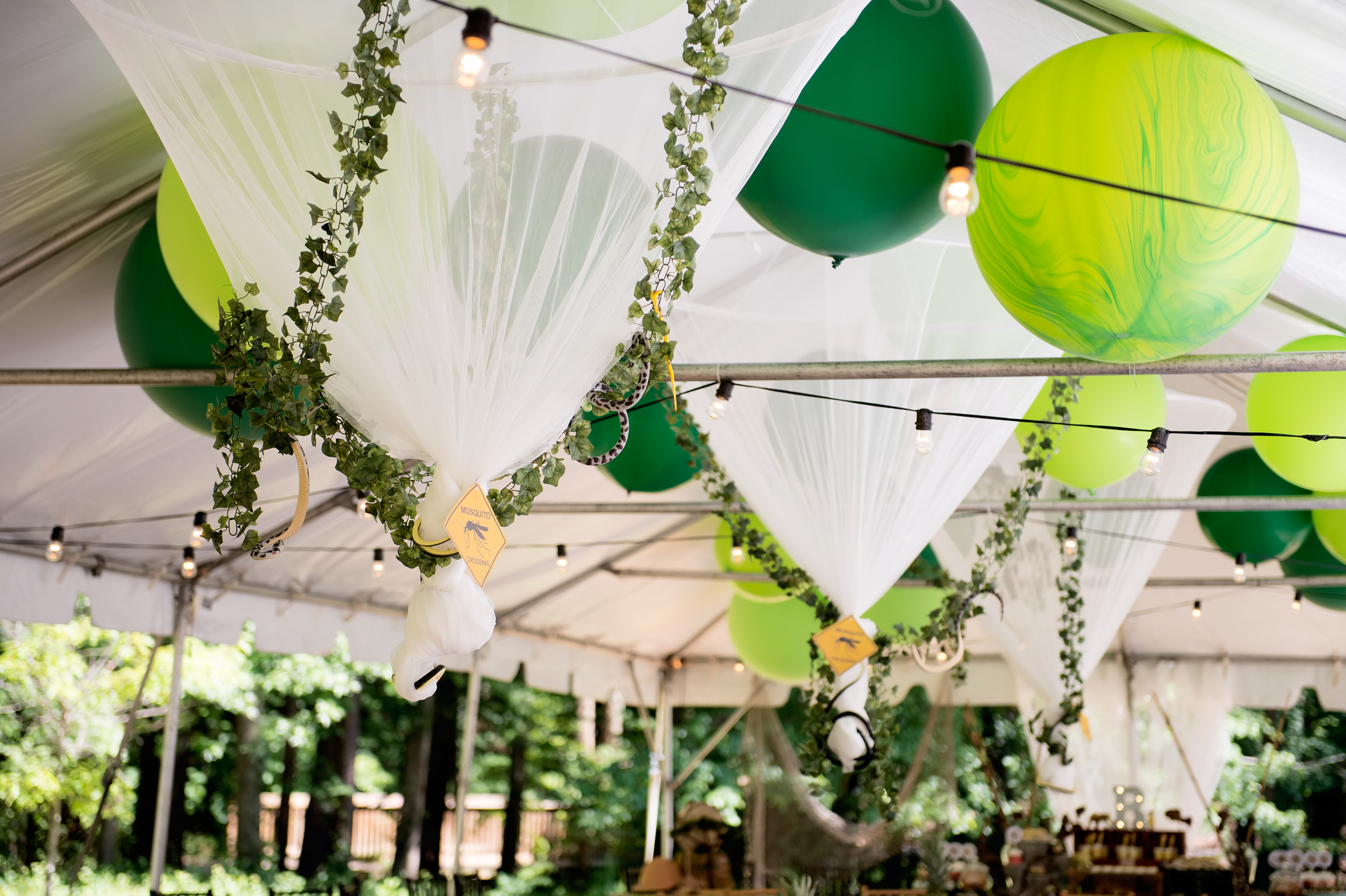 Party Planner Atlanta