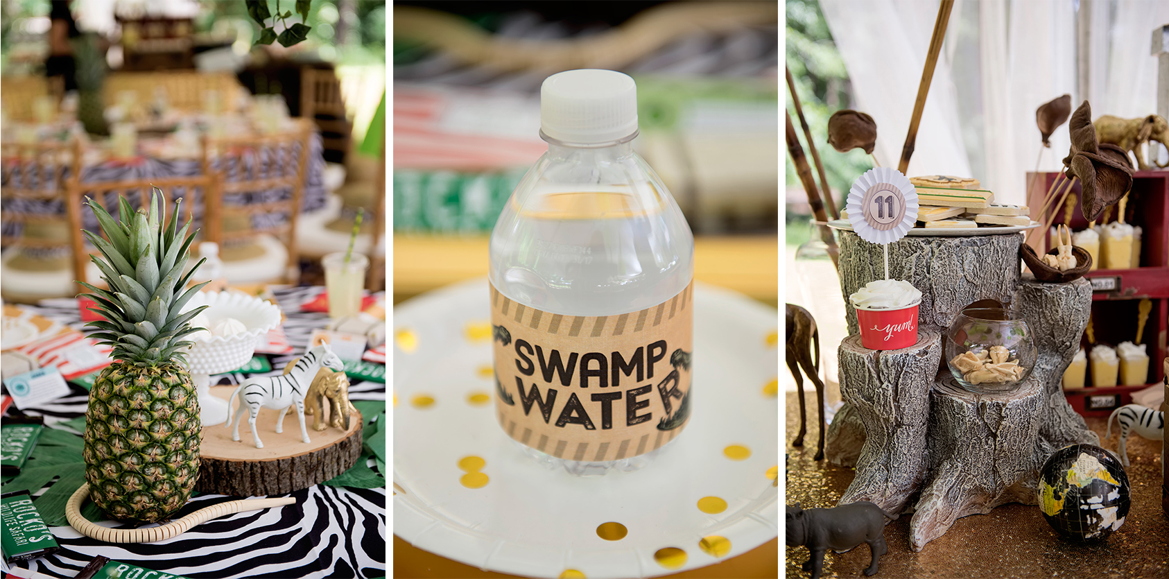 Treetop Quest Birthday Party